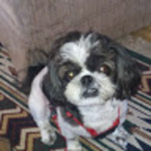 Meet your Posher, Ruth